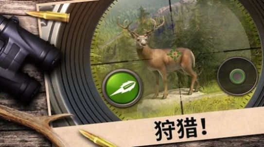 狩猎竞赛游戏安卓版v2.13 截图2