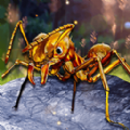 解救星际小蚂蚁游戏安卓下载