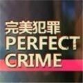 Perfect Crime游戏手机版（附攻略）下载 v1.2