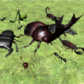 臭虫战斗模拟器3D游戏官方版