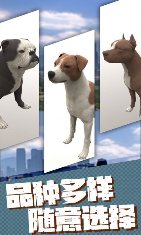 流浪狗生存模拟器游戏安卓版v1.1 截图1