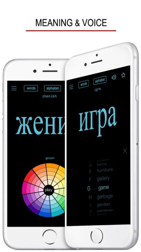 俄语单词发音与书写APP安卓版图3