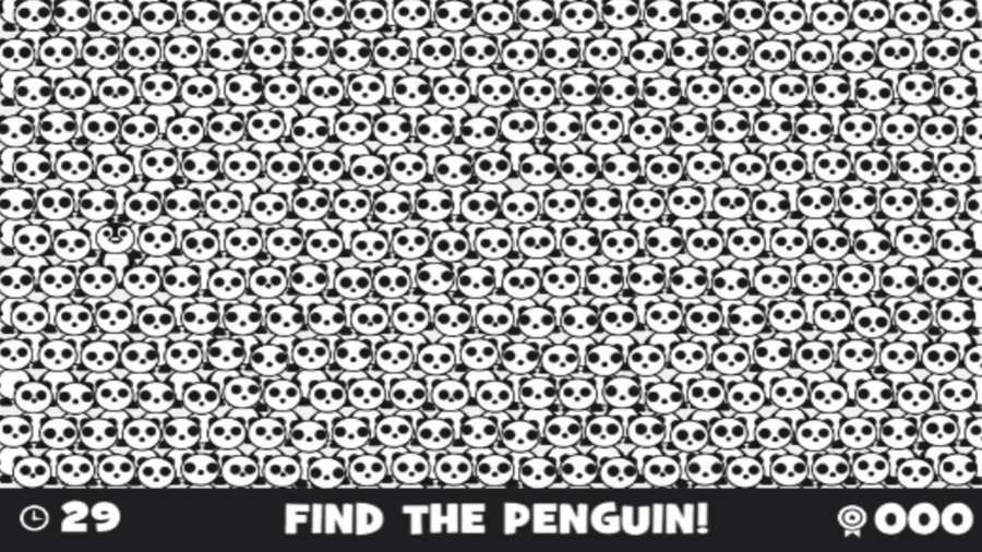 捉迷藏的企鹅黑白寻物游戏安卓版v1.0 截图0