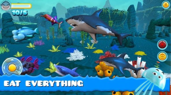 大鲨鱼进食小游戏官方版v1.1 截图2