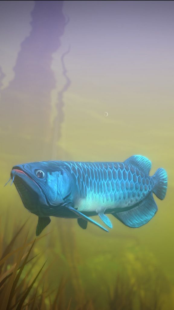 大鱼吃小鱼海底大猎杀游戏手机版下载v3.1 截图2