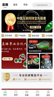 丹诺翡翠app图片1
