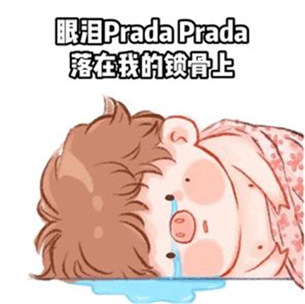 颤音Prada的眼泪PradaPrada地掉表情包图片集下载
