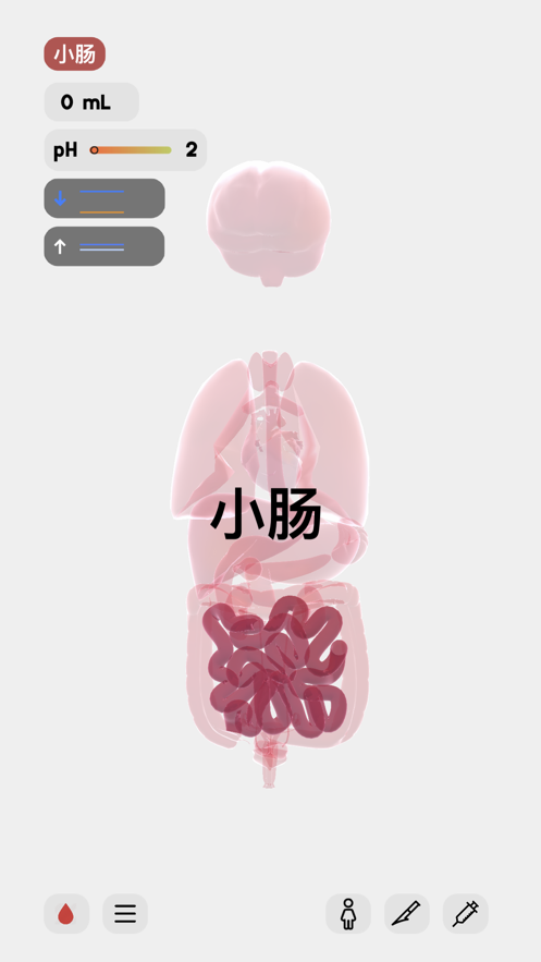 生命life怀孕安卓中文最新版v1.0.1 截图2