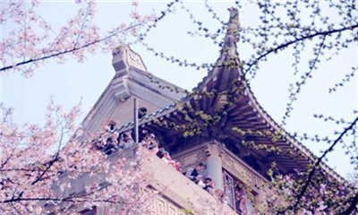 2021武汉大学樱花网上预约入口官网地址