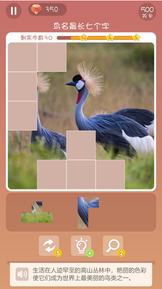 微信拼图寻鸟之旅科普小游戏v1.0 截图0