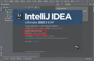 IntelliJ IDEA2021中文破解版(附注册码)