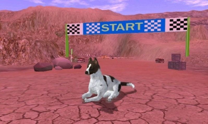狂犬模拟器游戏安卓版