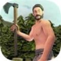 生存模拟器3D游戏最新安卓版(Survival Sim)