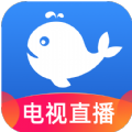 小鲸电视TV app下载最新版