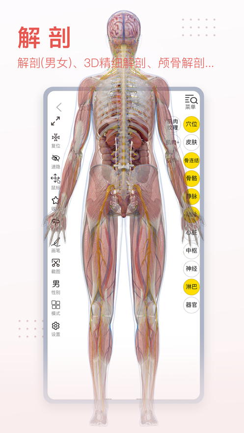 3Dbody解剖软件最新版下载-3dbody人体解剖学app下载最新版v8.6.02 截图0