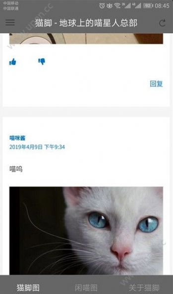 猫咪社区app官方在线下载苹果图片2