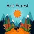 蚂蚁森林2020最新版