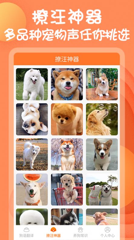 狗与翻译器App安卓版图片1