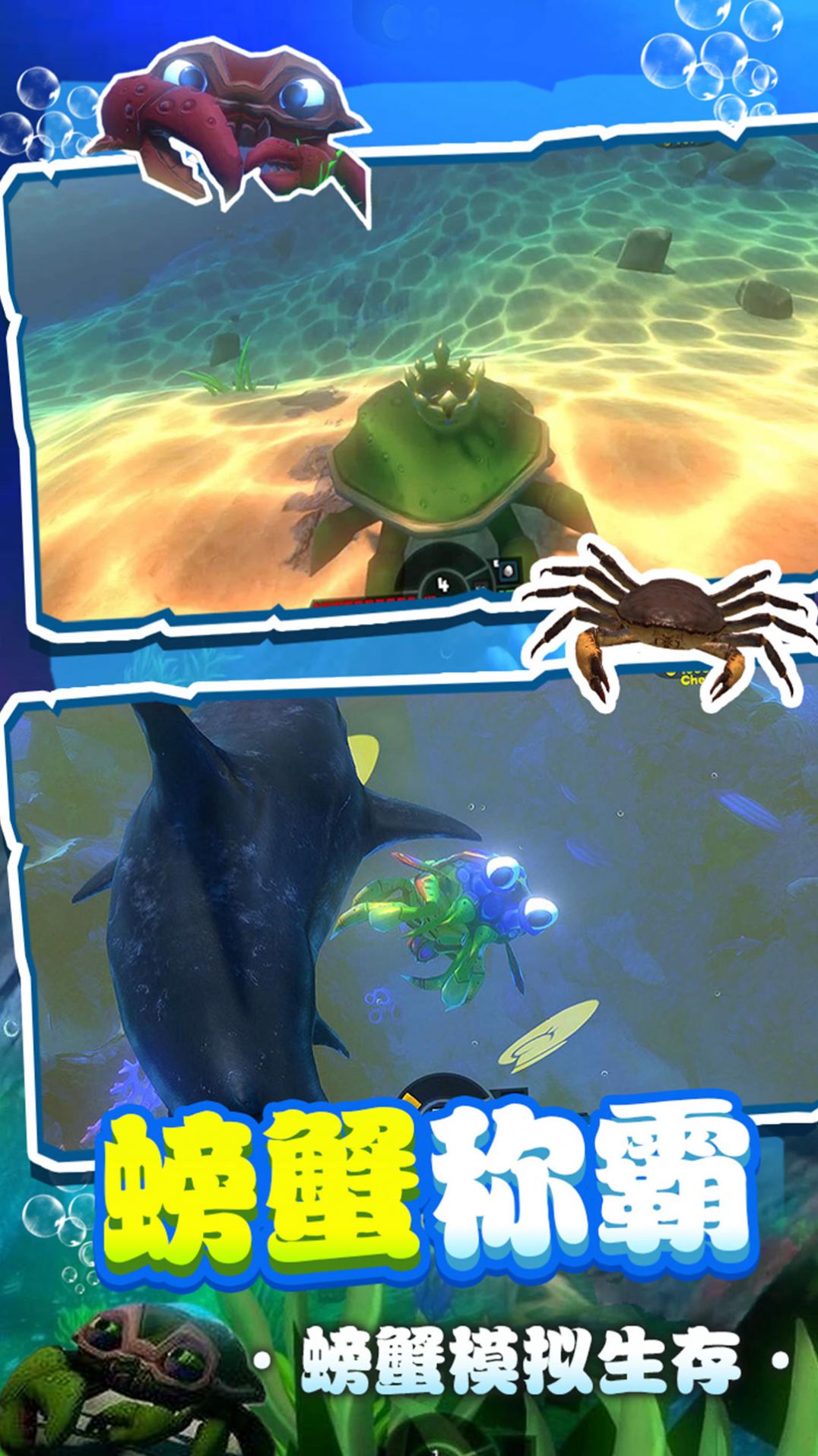 螃蟹生存模拟器游戏中文版图0