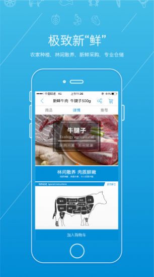 虾笨鲜生购物app手机最新版图1