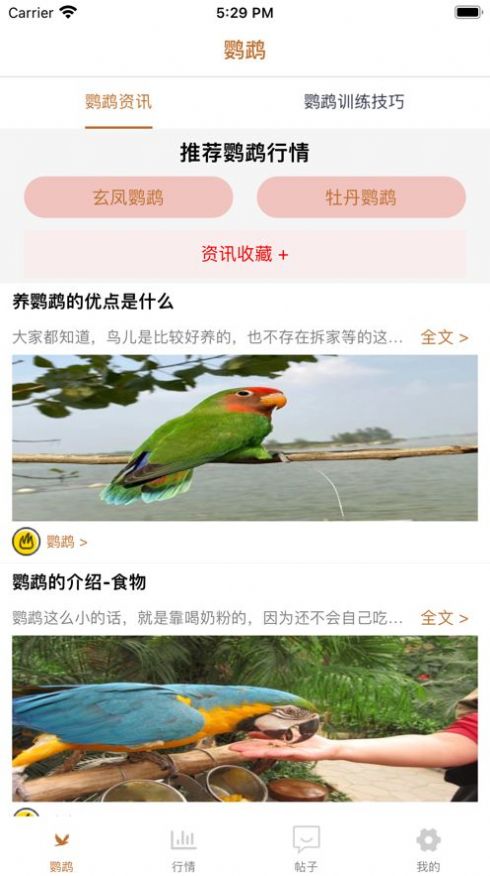 清萌鹦鹉资讯app客户端图片1