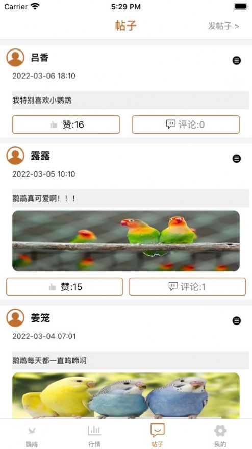 清萌鹦鹉资讯app客户端