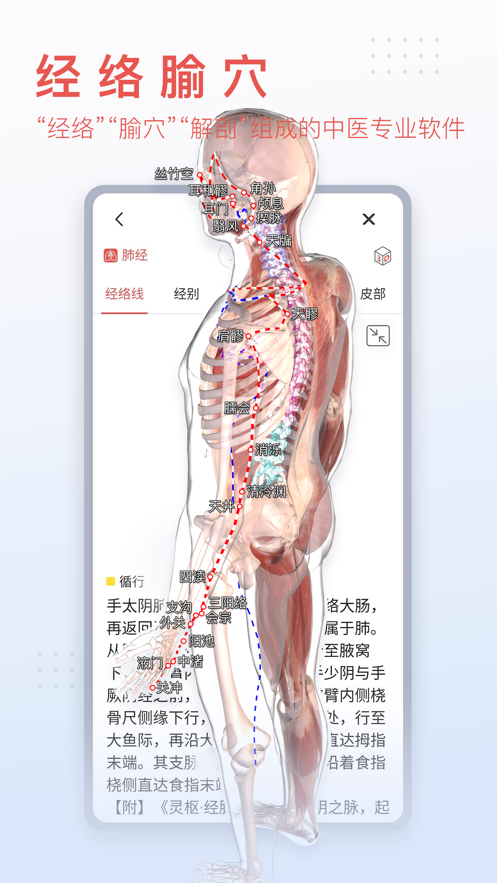 3Dbody解剖图手机版app最新客户端