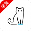 猫影视tv官方下载2.1.0.5最新版app