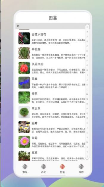 幸福养花场app官方版图1
