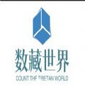 数藏世界平台官方最新版