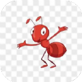 蚂丛旅行团app最新版下载