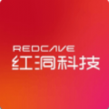 红洞数字藏品平台app下载官方版2022