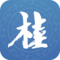 广西政务服务网app下载