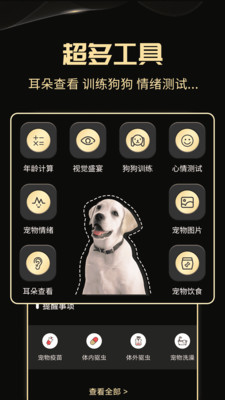 人狗交流神器APP安卓版图2