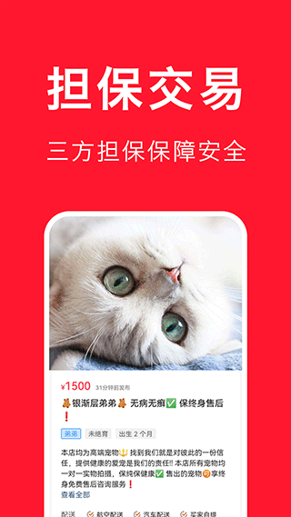宠物宝app下载-宠物宝安卓版最新版v1.3 截图0