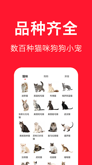 宠物宝app下载-宠物宝安卓版最新版v1.3 截图1
