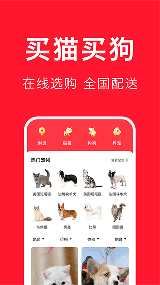 宠物宝app下载-宠物宝安卓版最新版v1.3 截图2