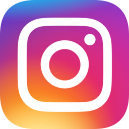 instagram软件下载-instagram软件官方版下载v228.0.0.0.71