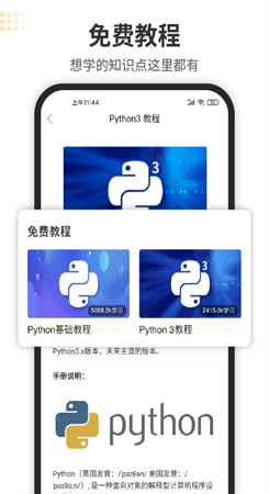 Python编程狮