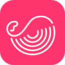 灰豚数据抖音版app下载-灰豚数据抖音版官网版v2.6.1