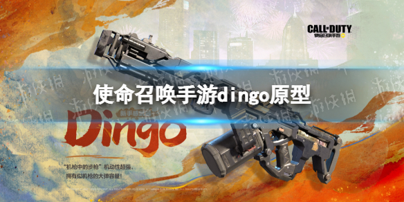使命召唤手游dingo怎么样 使命召唤手游dingo原型介绍