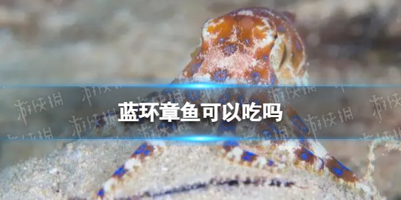 蓝环章鱼可以吃吗 蓝环章鱼熟了还有毒吗