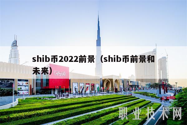 shib币2022前景（shib币前景和未来）