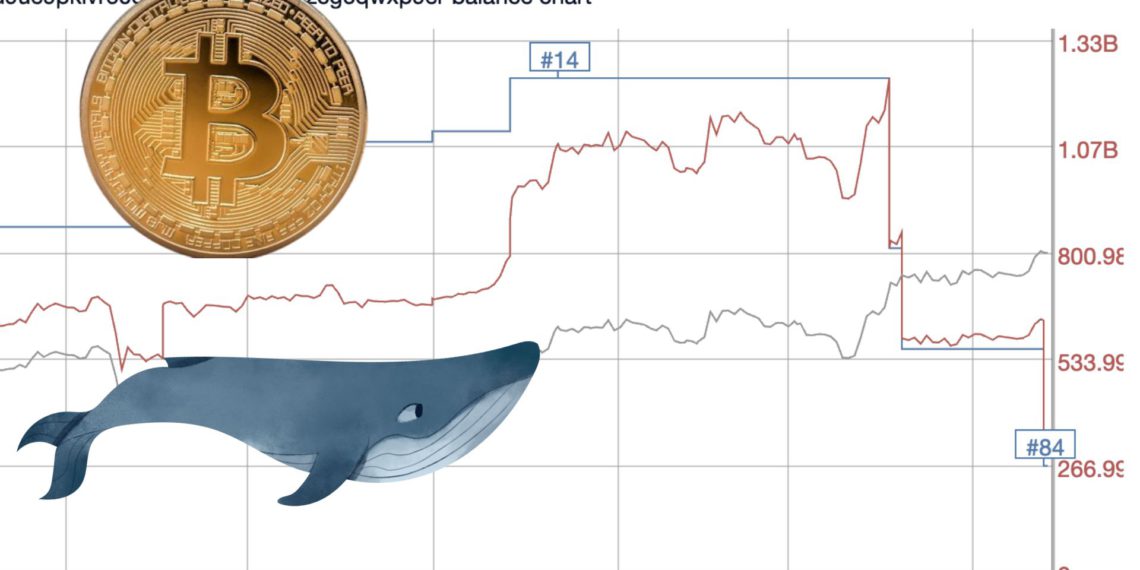 比特币砸盘警告！巨鲸单月转出36500枚BTC