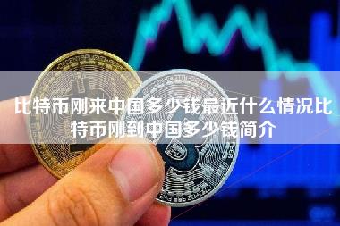 比特币刚来中国多少钱最近什么情况比特币刚到中国多少钱简介