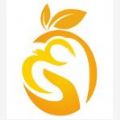 橙子直聘app官方版下载 v1.0.3